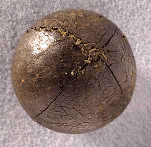 19th Century Lemon Peel Ball 5